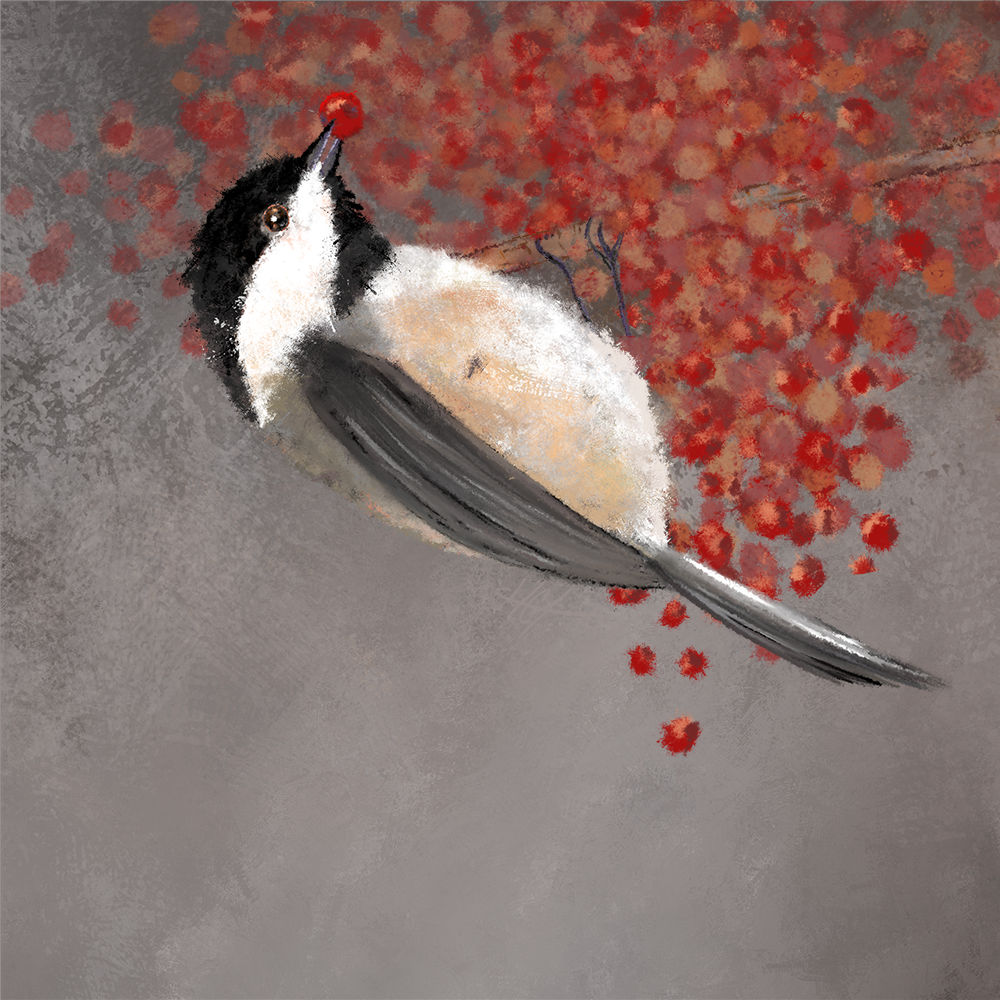 A digital painting of a Black-capped Chickadee perched on a branch with red berries.