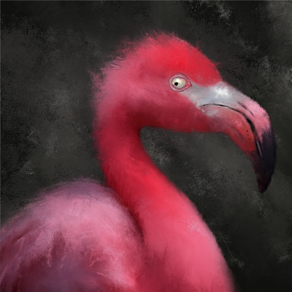 Close-up of a flamingo, showing its vibrant pink plumage and long, curved neck.