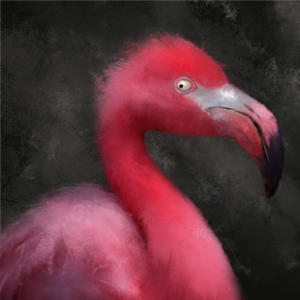 Enigmatic Pink Flamingo