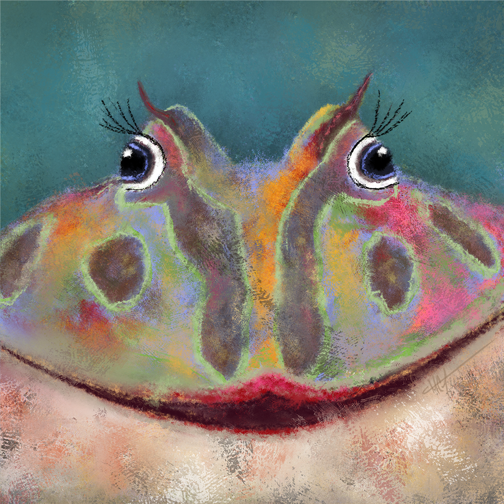 Adorable Pacman Rainbow Frog portrait with vibrant colors and a distinct, wide-mouthed appearance.