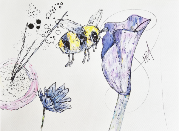 Bee Bumble - Drawing, Animals - Marie-Claude Asselin