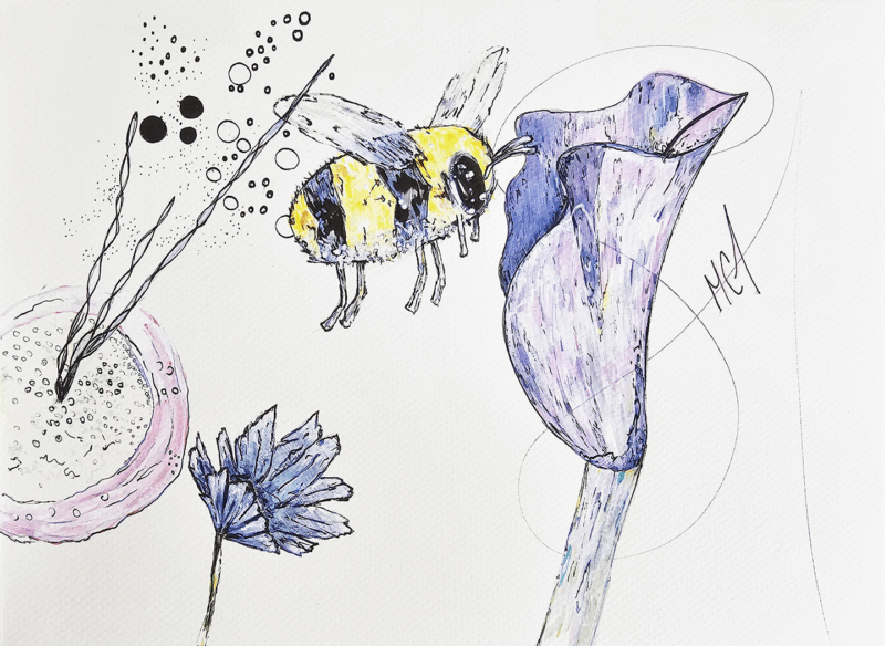 Bee Bumble - Drawing, Animals - Marie-Claude Asselin