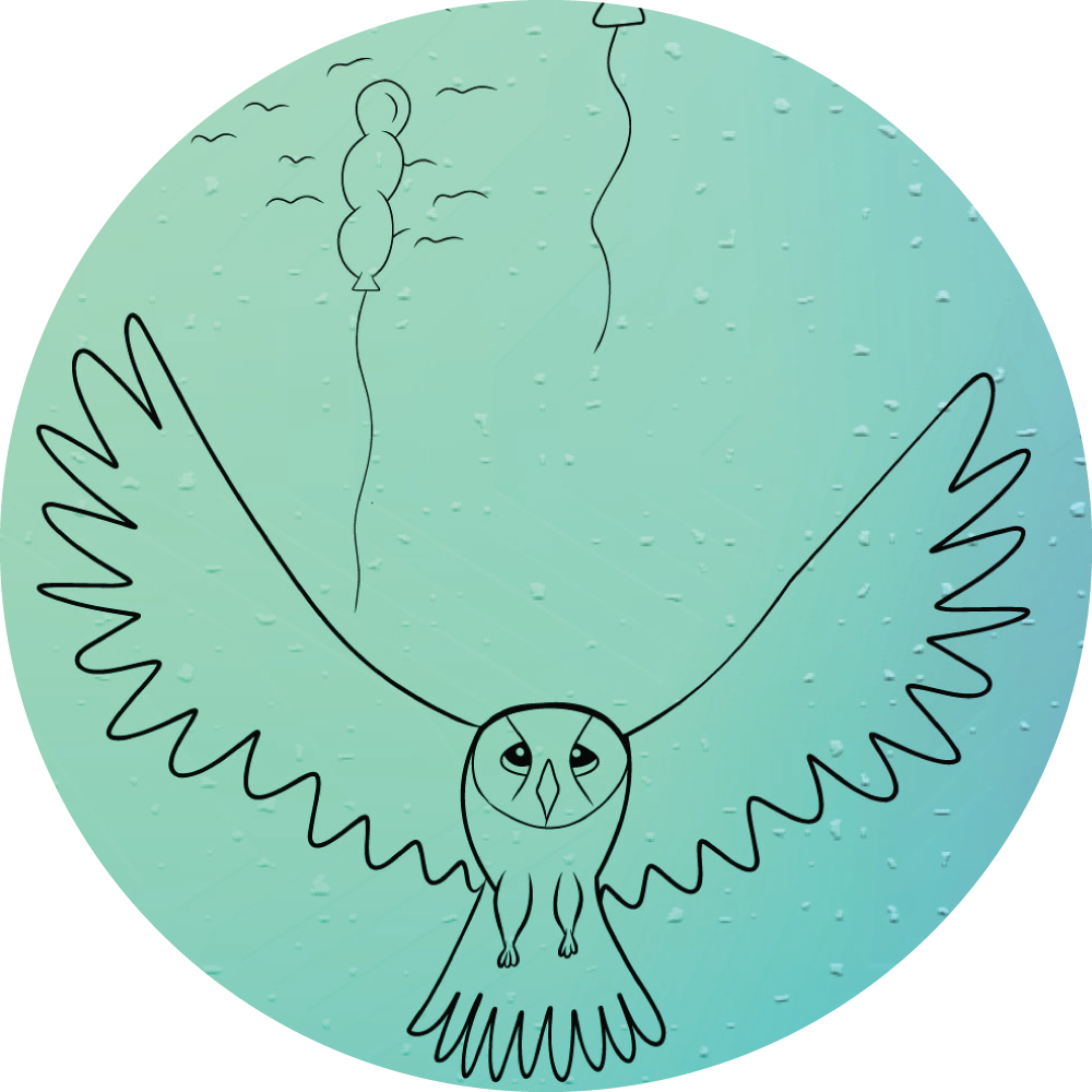 Preview of the book The Lost Pendant by Marie-Claude Asselin. A owl with is wings large open.
