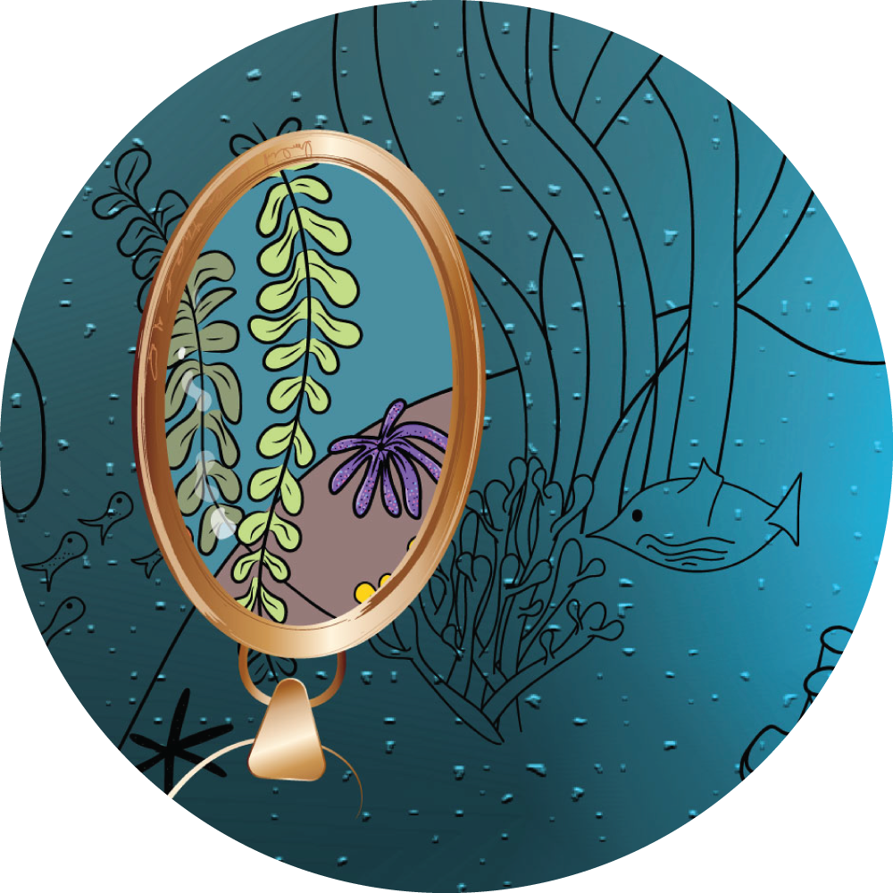 Preview of the book The Lost Pendant by Marie-Claude Asselin. Underwater, a drawing on the sea life, with a fish and some plants. Inside a gold pendant you can see the beautifuls colors of the marine life.