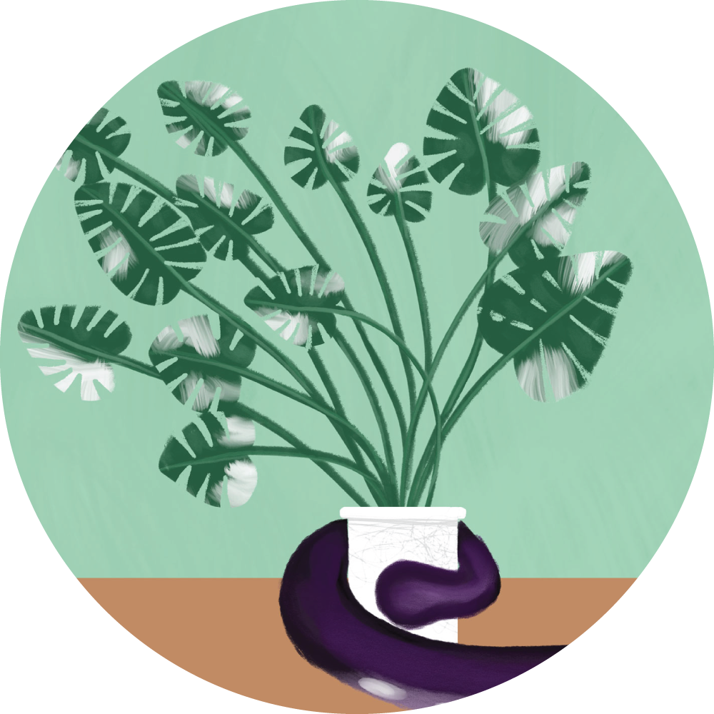 Preview of the book Octopus by Marie-Claude Asselin. An Octupus catching a monstera plant.